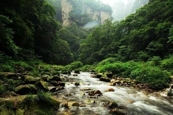河南位于此轮全国性雨雪天气中心区域 如何加强田蔬菜管理保供应